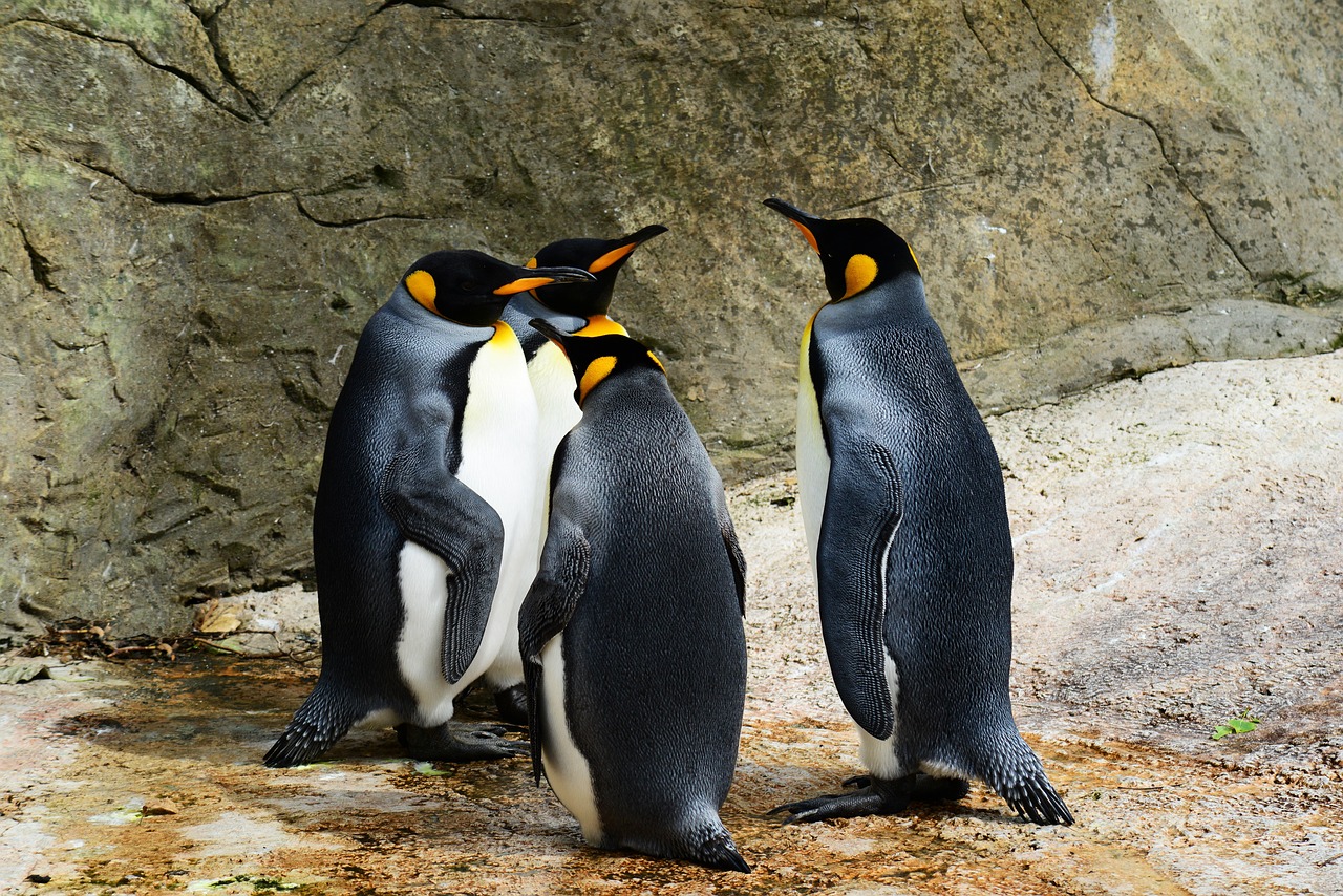 Wildlife Crime & Biodiversity: The Dark Side of Illicit Trade
